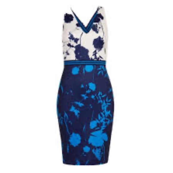 Ted Baker Navy and Cream Elegant Dress - Picture 5 of 15